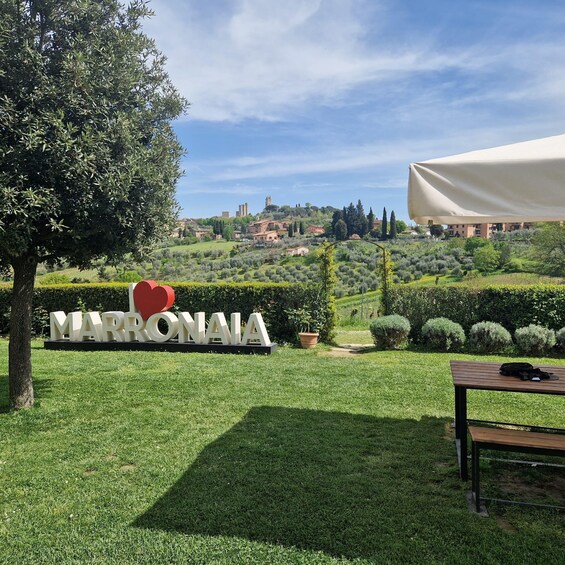 A sign with 'MARRONAIA' and a heart, a tree, a bench, and a view of a hilly landscape with buildings. 4