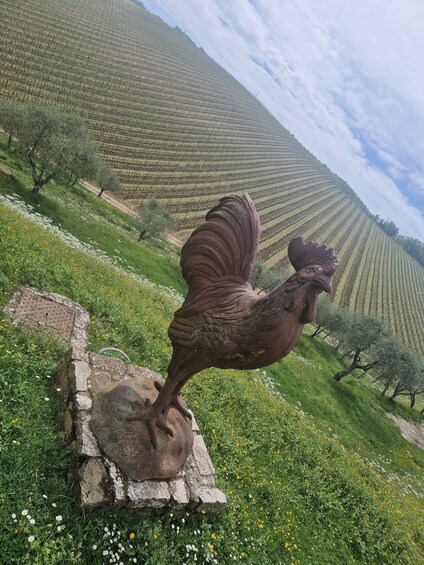 A rooster statue on a stone base in a vineyard. 2