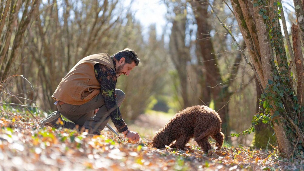 A person crouching in a forest, interacting with a small, curly-haired dog. 1