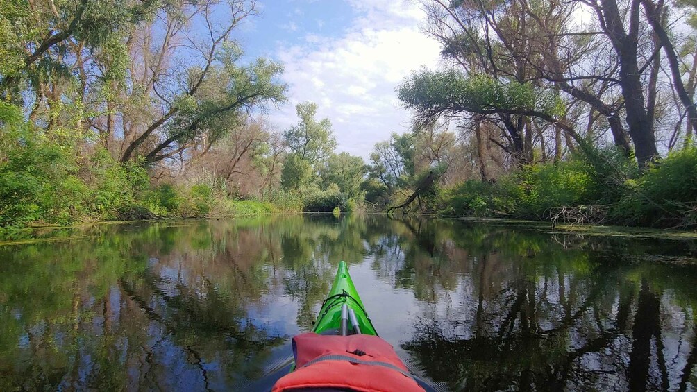 A calm river with a green kayak in the foreground and dense trees on both sides. 1