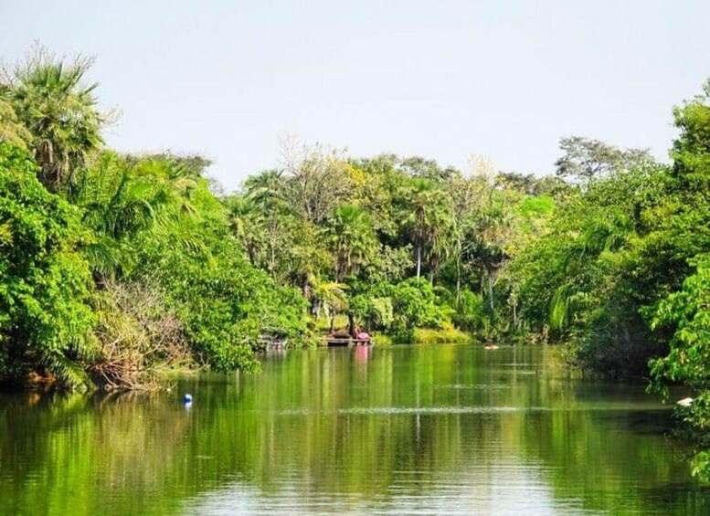 A calm lake surrounded by dense green foliage. 5
