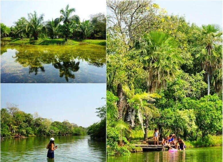 A river with dense greenery and a group of people on a dock. 3