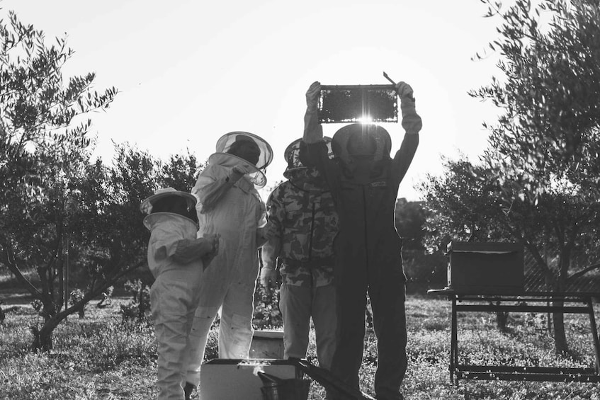 A group of people in a field with trees, one person holding a device towards the sky. 1