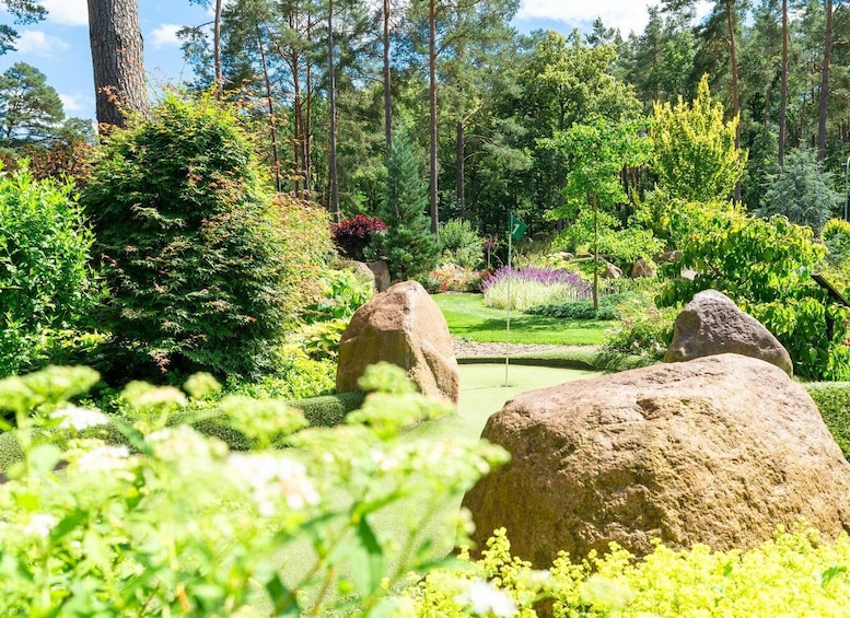 A lush garden with large rocks, dense foliage, and a variety of trees. 3