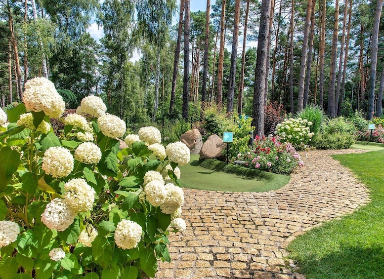 A garden with a stone pathway, white hydrangea bushes, and a variety of other plants and trees. 2