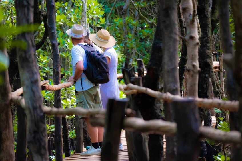 Two people walking on a wooden bridge surrounded by trees. 4