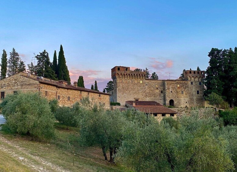 A historic stone building with a tower, surrounded by olive trees and a clear sky. 4