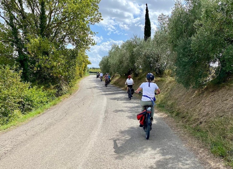 A group of cyclists on a narrow road surrounded by greenery. 5