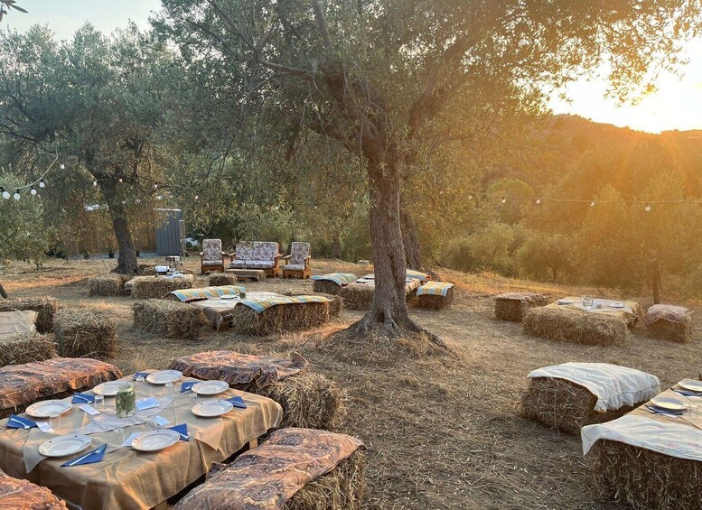 An outdoor dining setup with hay bales and tables, surrounded by olive trees and a rustic setting. 4