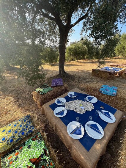 An outdoor dining setup with a table set for four, surrounded by hay bales and under a tree. 1