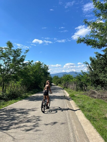 A person riding a bicycle on a paved path surrounded by greenery and trees. 4