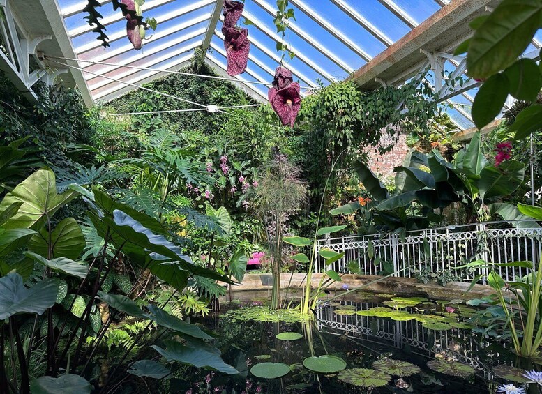 A greenhouse with hanging plants, a pond with lily pads, and various tropical foliage. 1