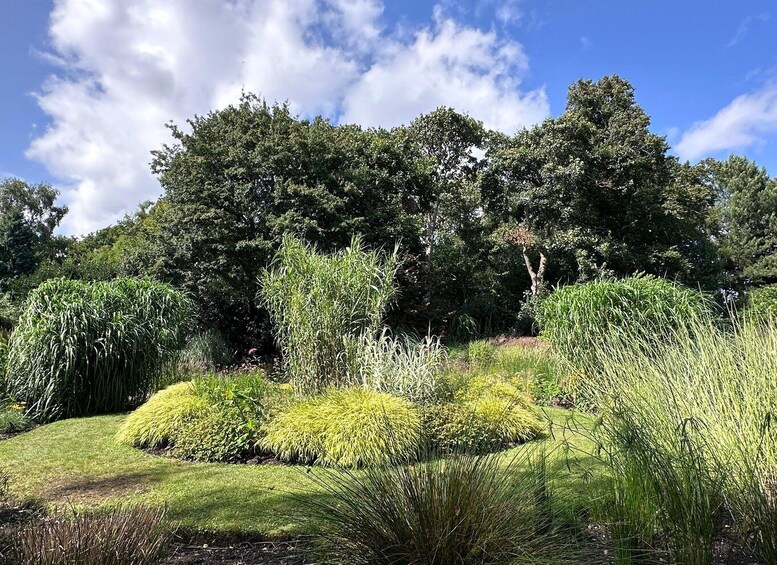 A landscaped garden with various shrubs and trees under a clear sky. 3