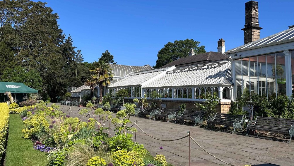 A botanical garden with a greenhouse, benches, and a variety of plants. 5