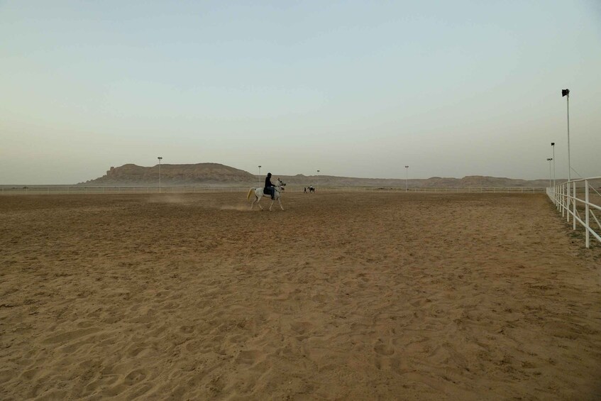 A sandy arena with a person riding a horse, another person on horseback in the background, and a distant hill. 5
