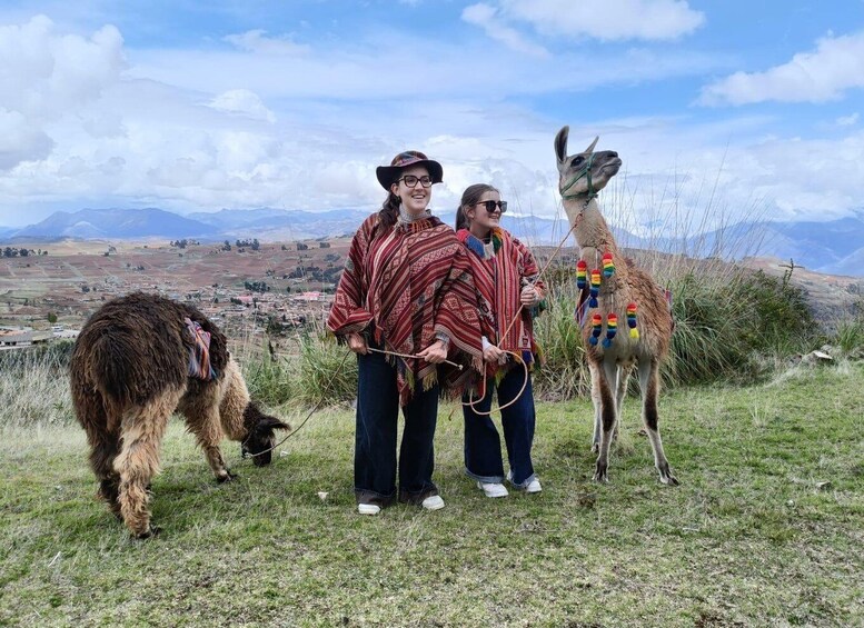 Two people standing on a grassy hill with llamas, one of which is decorated with colorful tassels. 2