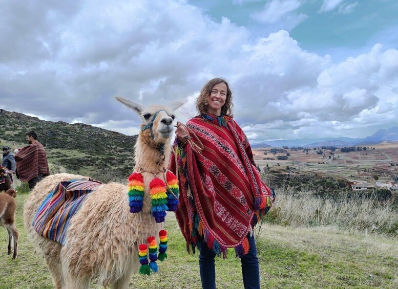A person standing next to a llama with colorful decorations, in a rural landscape with hills and fields. 3