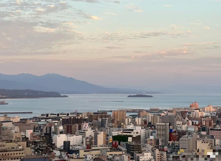 A coastal cityscape with a mountain range in the background, a body of water, and a mix of high-rise and low-rise buildings. 1