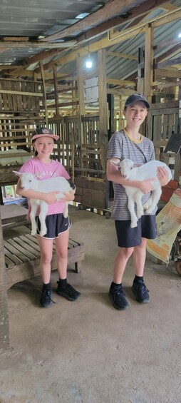 Two individuals holding white lambs in a barn with wooden structures and a metal roof. 2