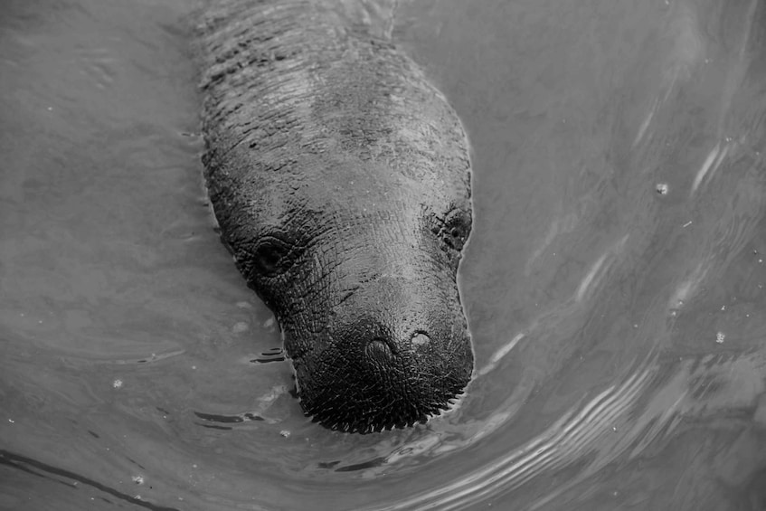 Estonia: Malusi Islands Seal-Watching Boat Trip 1