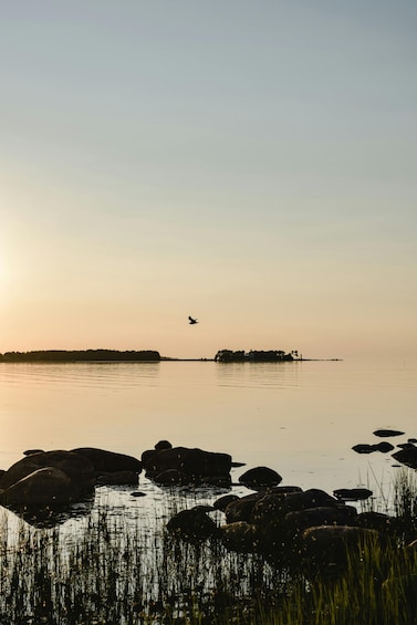 Picture 2 for Activity Estonia: Malusi Islands Seal-Watching Boat Trip 4