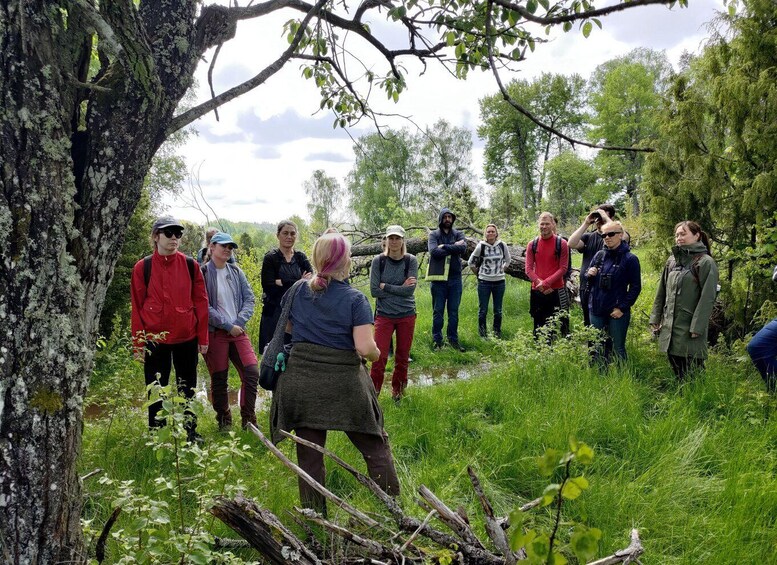A group of people standing in a forested area with trees and greenery. 5