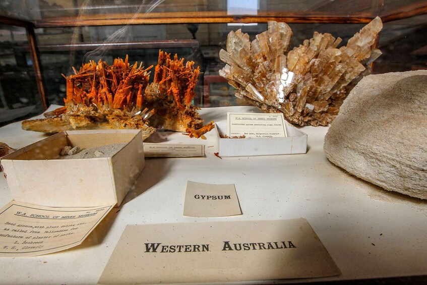A display of geological specimens including gypsum crystals and a rock labeled 'Western Australia.' 5
