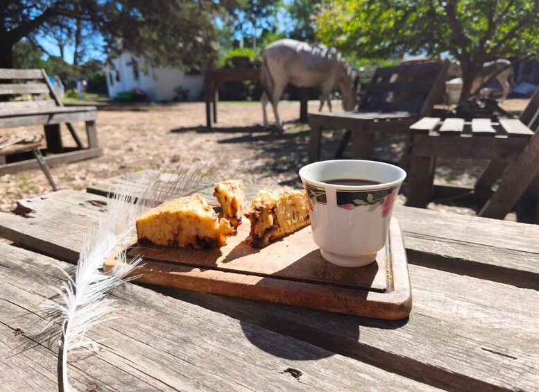 A wooden table with a cup of coffee, a piece of cake, and a feather. 3