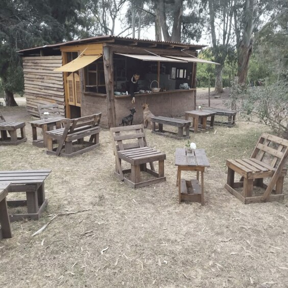 A rustic outdoor seating area with wooden benches and tables, a small wooden structure with a canopy, and a dog nearby. 2