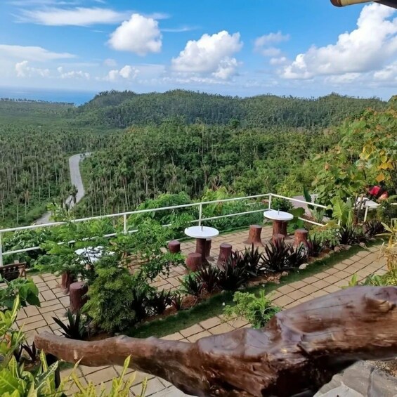 A garden with a winding path, wooden tables, and a variety of plants. 5