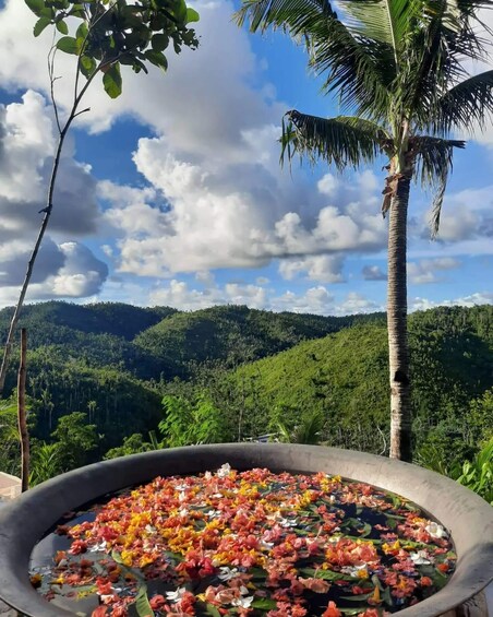 A flower-filled water feature with a mountainous landscape in the background. 1