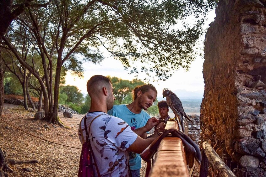 Three people observing a bird perched on a wooden structure in a wooded area. 1