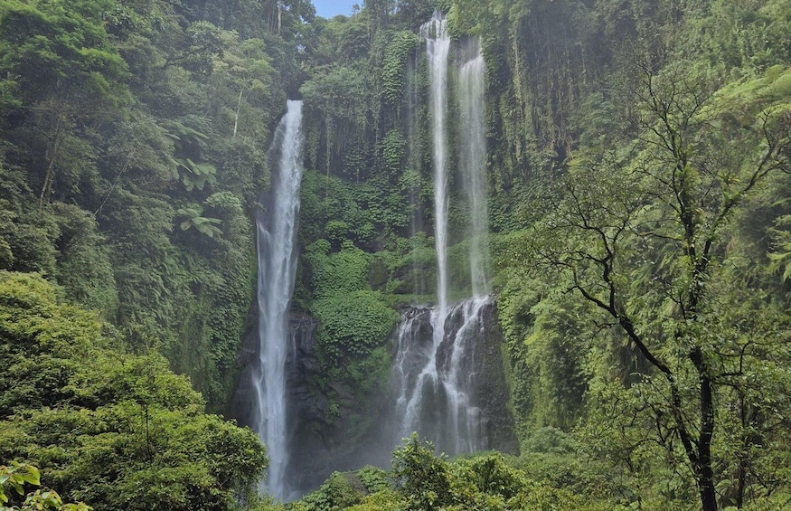 A waterfall cascading down a lush, green forested cliff. 1