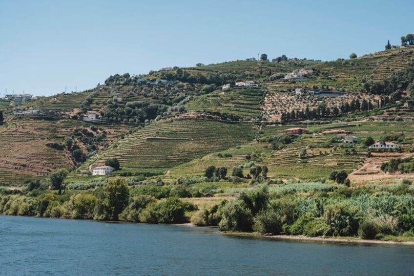 A river with terraced fields and scattered houses on a hillside. 4