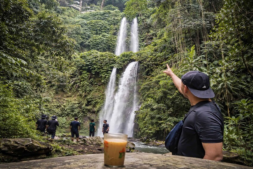 A waterfall in a lush forest with a person pointing at it. 5