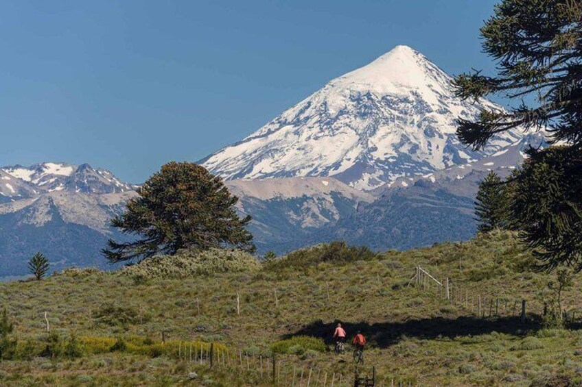 A snow-capped mountain, a clear sky, and a person in a red shirt walking in a grassy field. 5