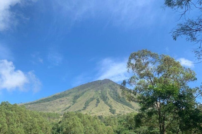 A mountain with a forested base and a clear sky. 5
