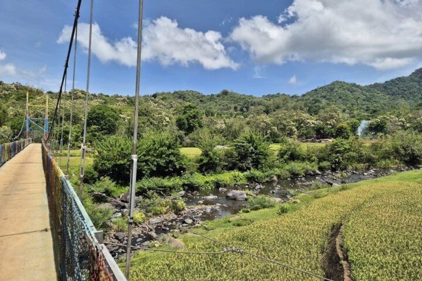 A suspension bridge over a river, lush greenery, and a hilly landscape. 3