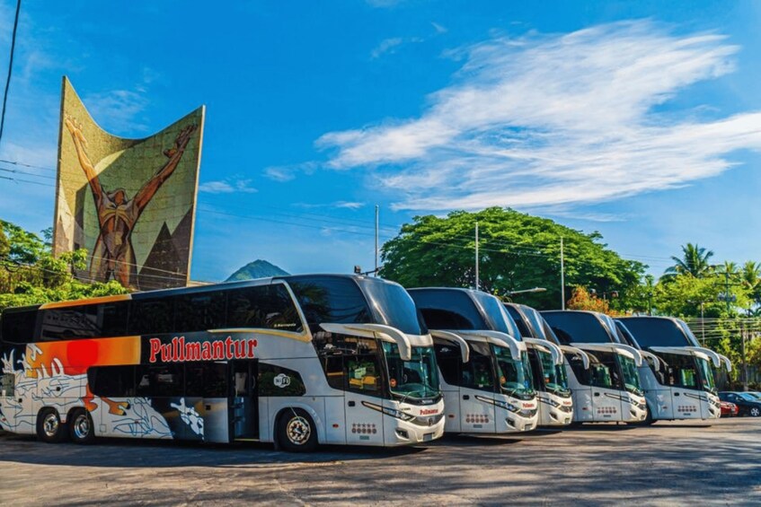 A row of Pullmantur buses parked in a lot with a large mural in the background. 5