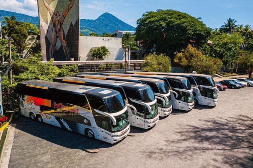 A row of buses parked in a lot with a mural and a mountain in the background. 2