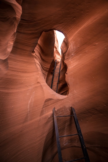 A canyon with a ladder leading into a narrow passage. 1
