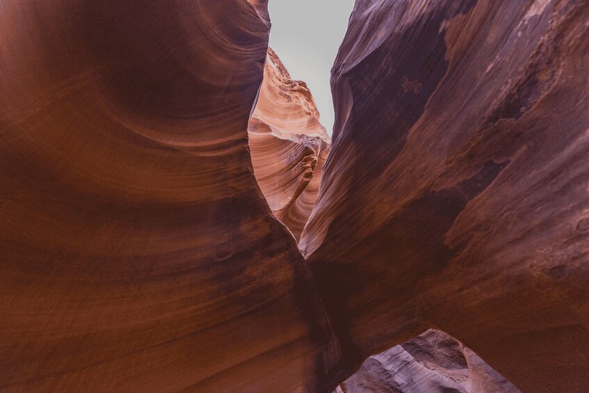 A canyon with smooth, curved rock walls. 5