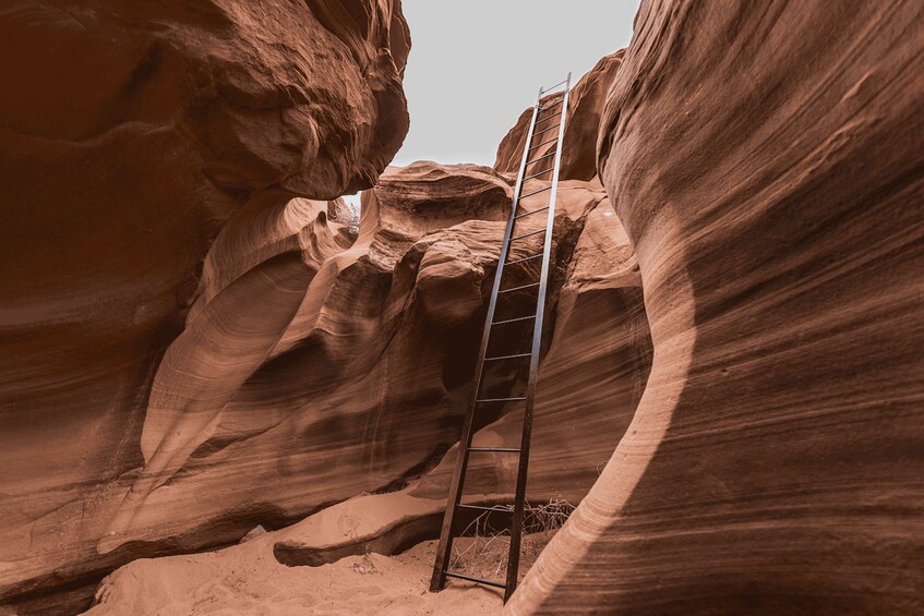 A metal ladder in a narrow canyon with smooth, reddish rock walls. 4