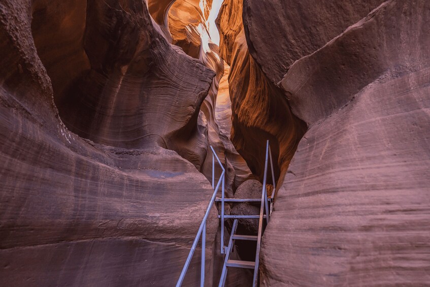 A narrow canyon with smooth rock walls and a metal ladder leading into the depths. 2