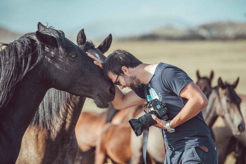 A person with a camera, surrounded by horses in an open field. 1