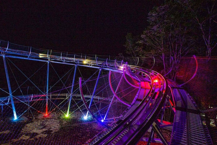 A roller coaster at night with vibrant purple and red lights. 5