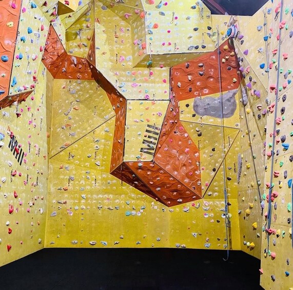 A climbing wall with various holds and routes. 4