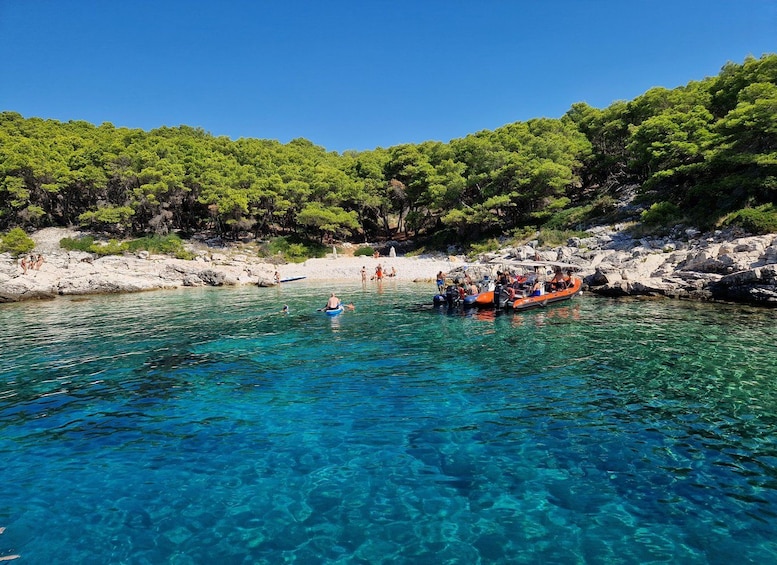 A clear blue sea with boats, rocky shore, and dense green trees. 2