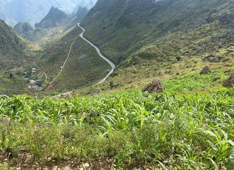 A winding mountain road through a lush valley with green vegetation and scattered houses. 2