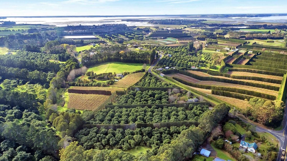 An aerial view of a rural landscape with fields, forests, and a road. 1